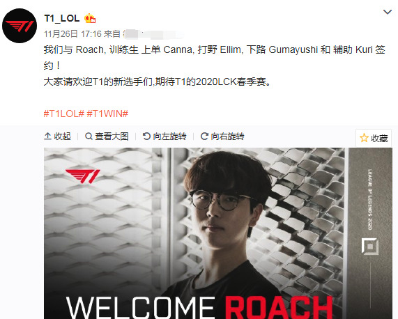 仅是一场精 仅是一场精