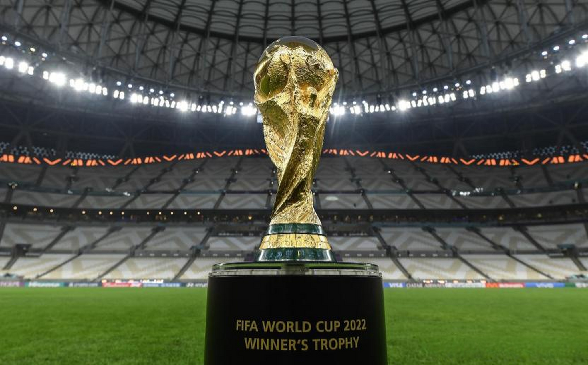 生选拔进入 生选拔进入